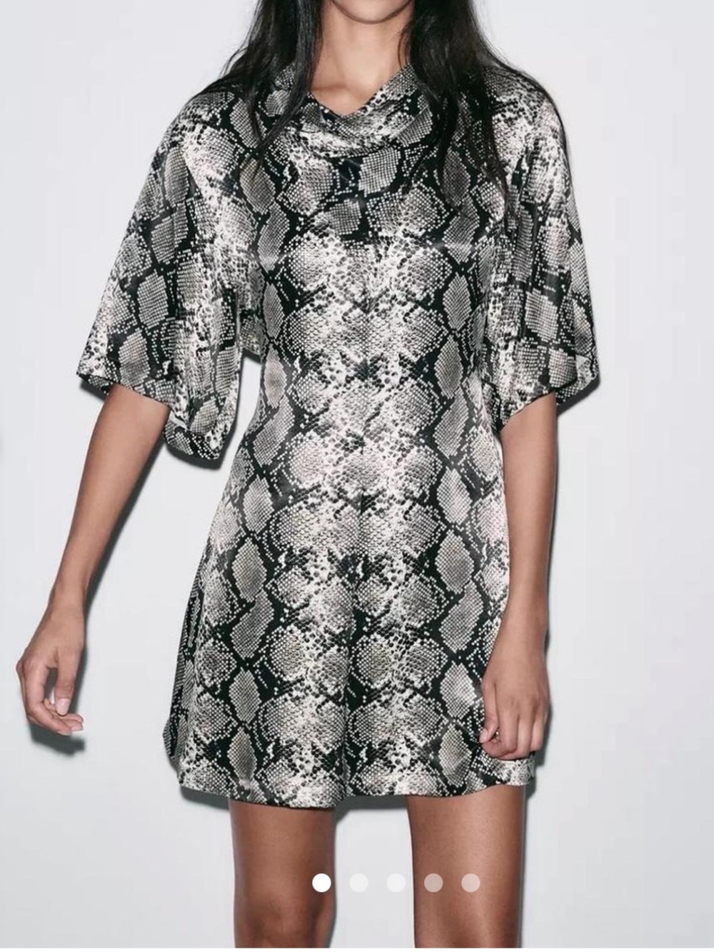 Zara Black and Silver Snake-Print Mini Dress